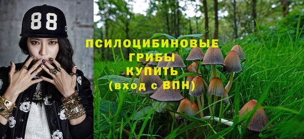 ПСИЛОЦИБИНОВЫЕ ГРИБЫ Навашино