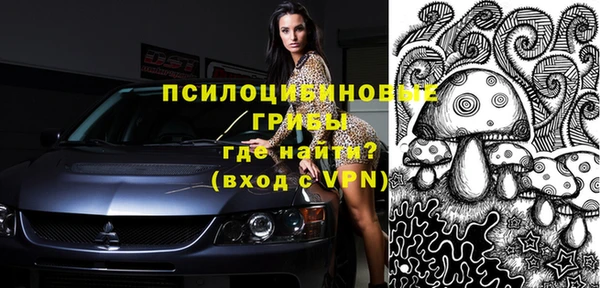 винт Наволоки